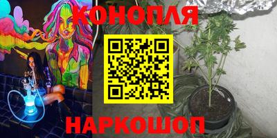 эйфоретик Новозыбков
