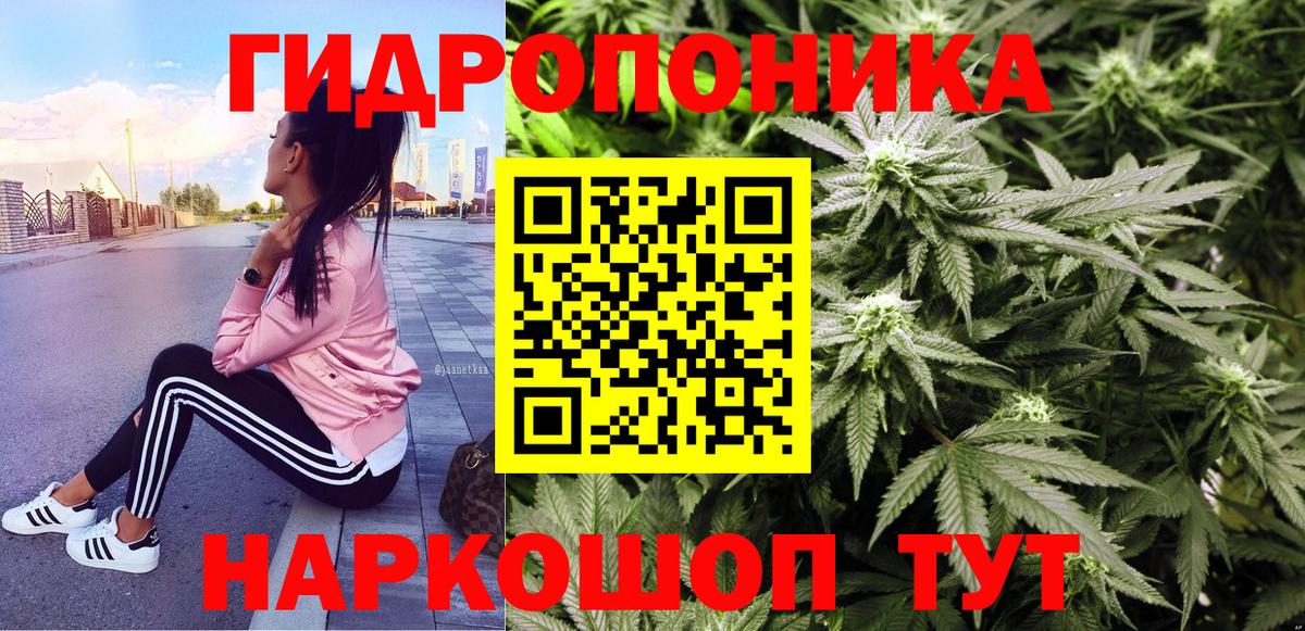 Марихуана план  Бошки марихуана сатива  Вход с VPN  Тамбов  Марихуана THC 21%  МАРИХУАНА ГИДРОПОН 